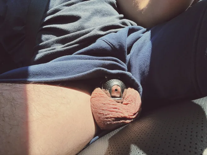 Freeballing with the titanium Evotion Orion