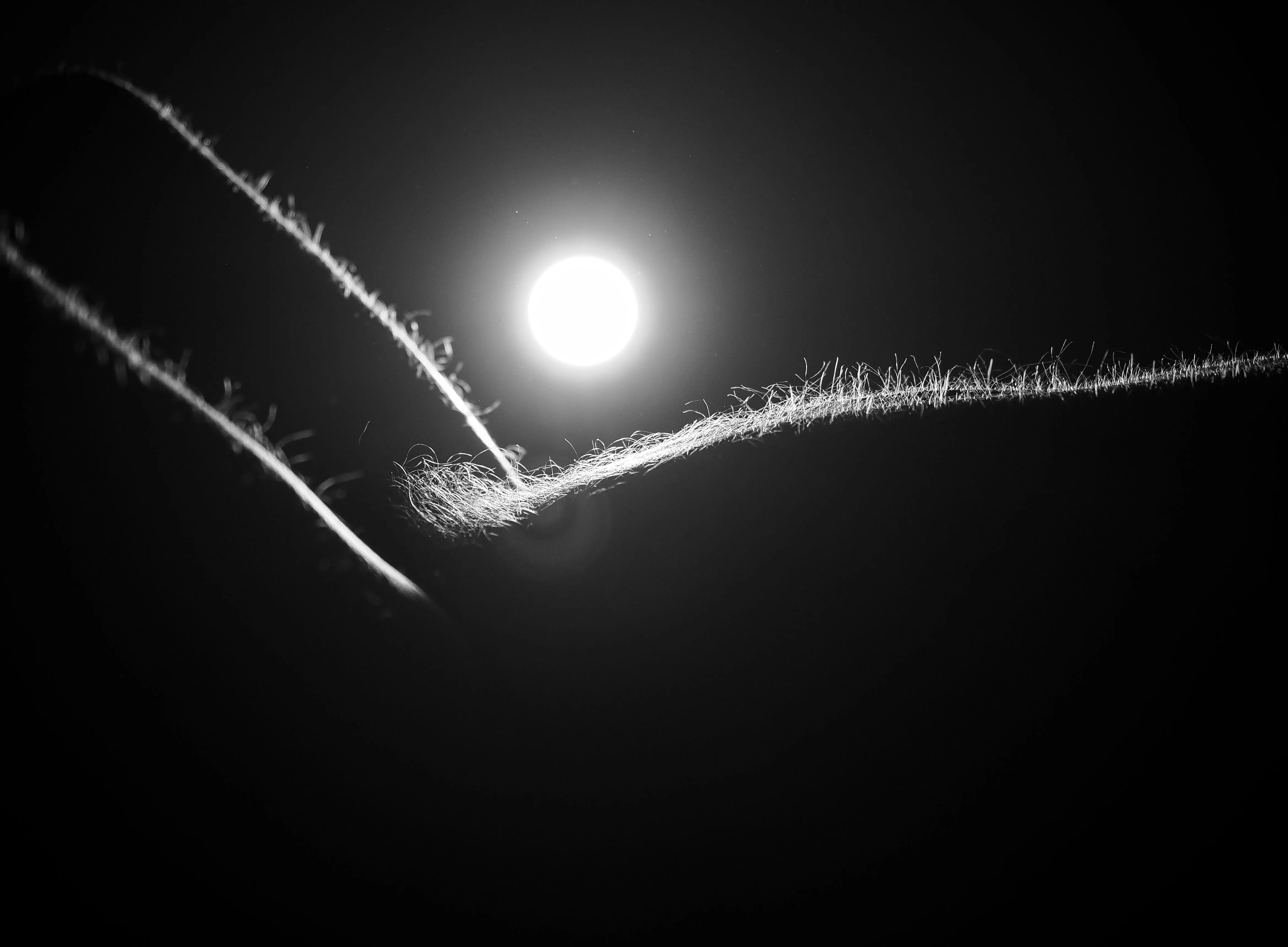 Fuzz on the landscape