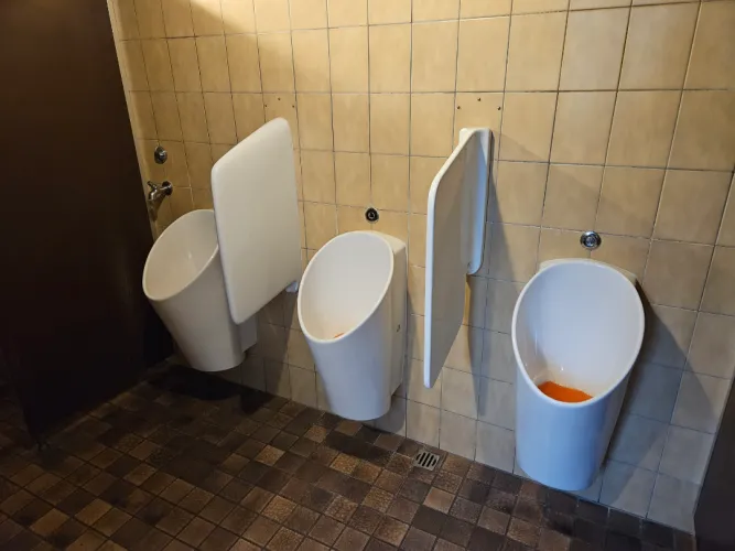 Urinals that my favourite local restaurant shares with the strip club on the floor above