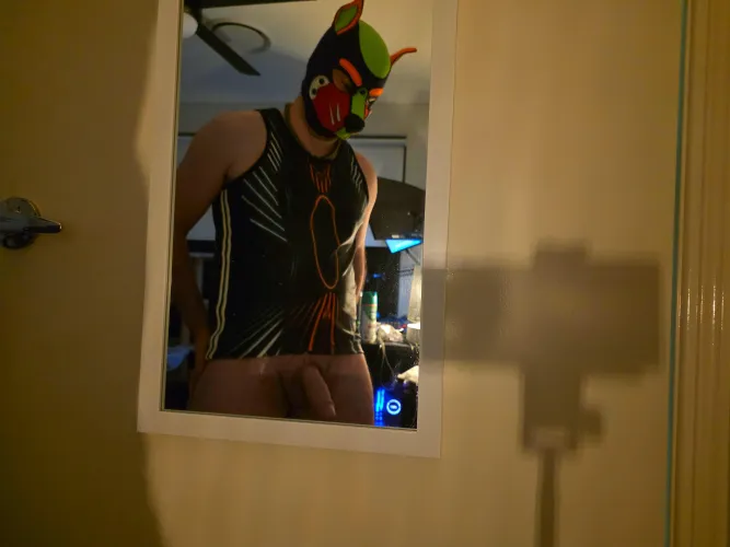 I've been told I'm a good boy 🐶