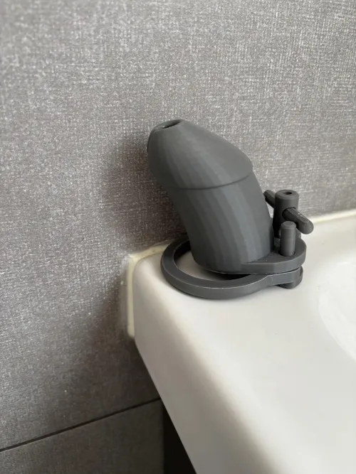 Primera jaula de castidad