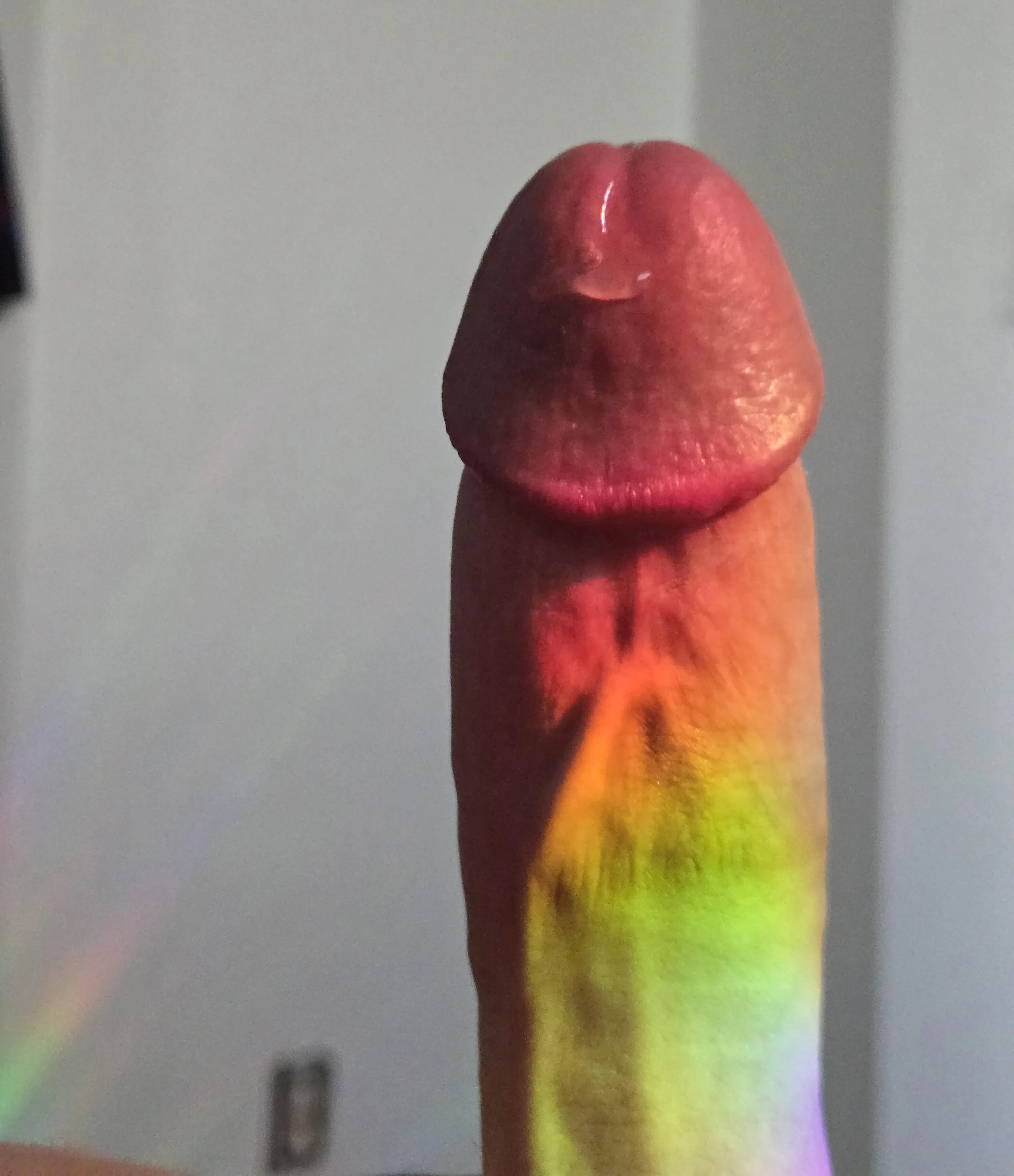 What color will you suck to? (You know those rainbow dildos)