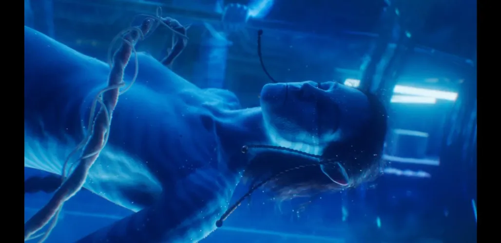 Avatar titty from movie 2