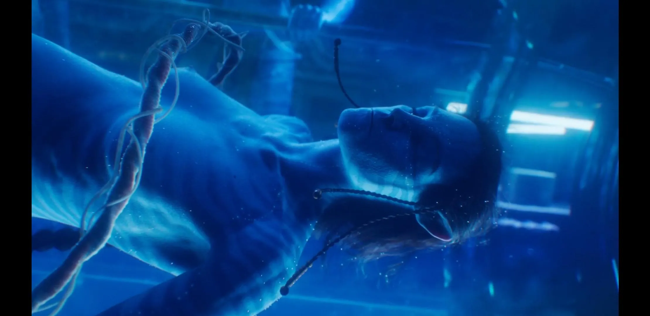 Avatar titty from movie 2