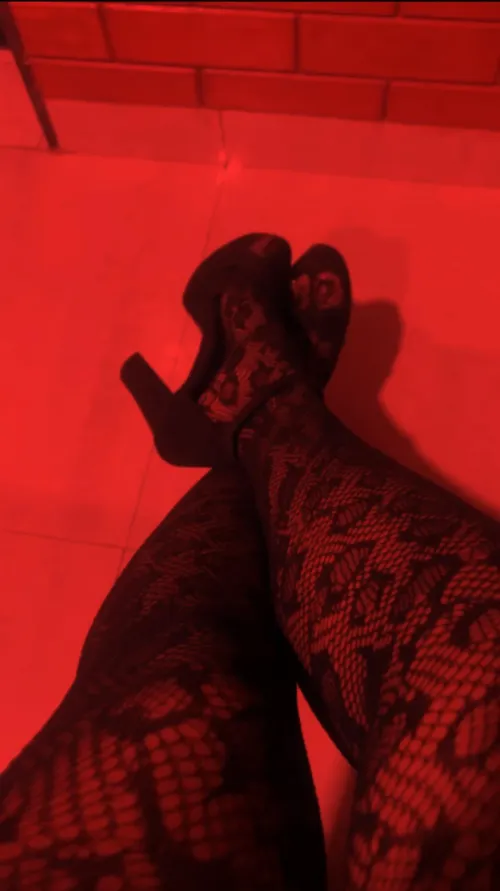 [F4M] / [F4C] 23F dom here looking for a submissive guy or a submissive couple with no to very less limits, down for anything, to serve me in a dom-sub dynamic. HMU if genuinely interested