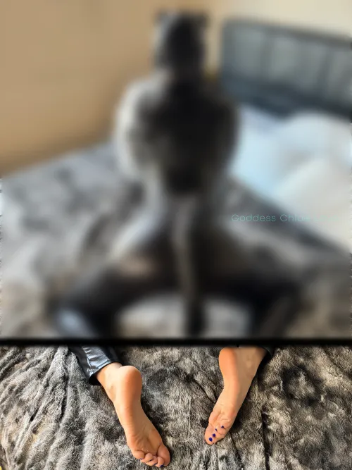 Obedience is pleasure.