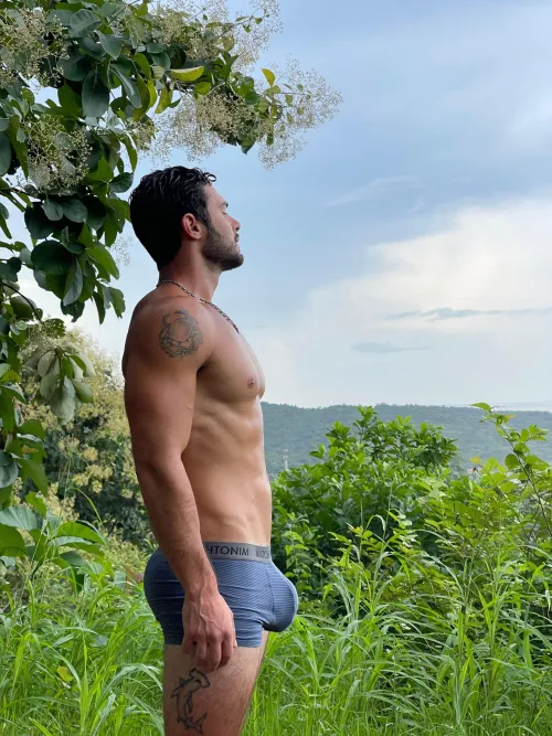 the best view of the mountain