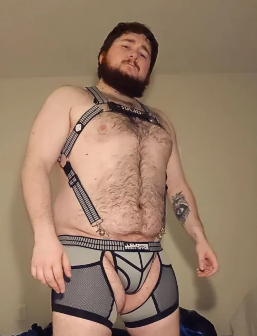 23m Bear, Anyone tryna play league? (NA)