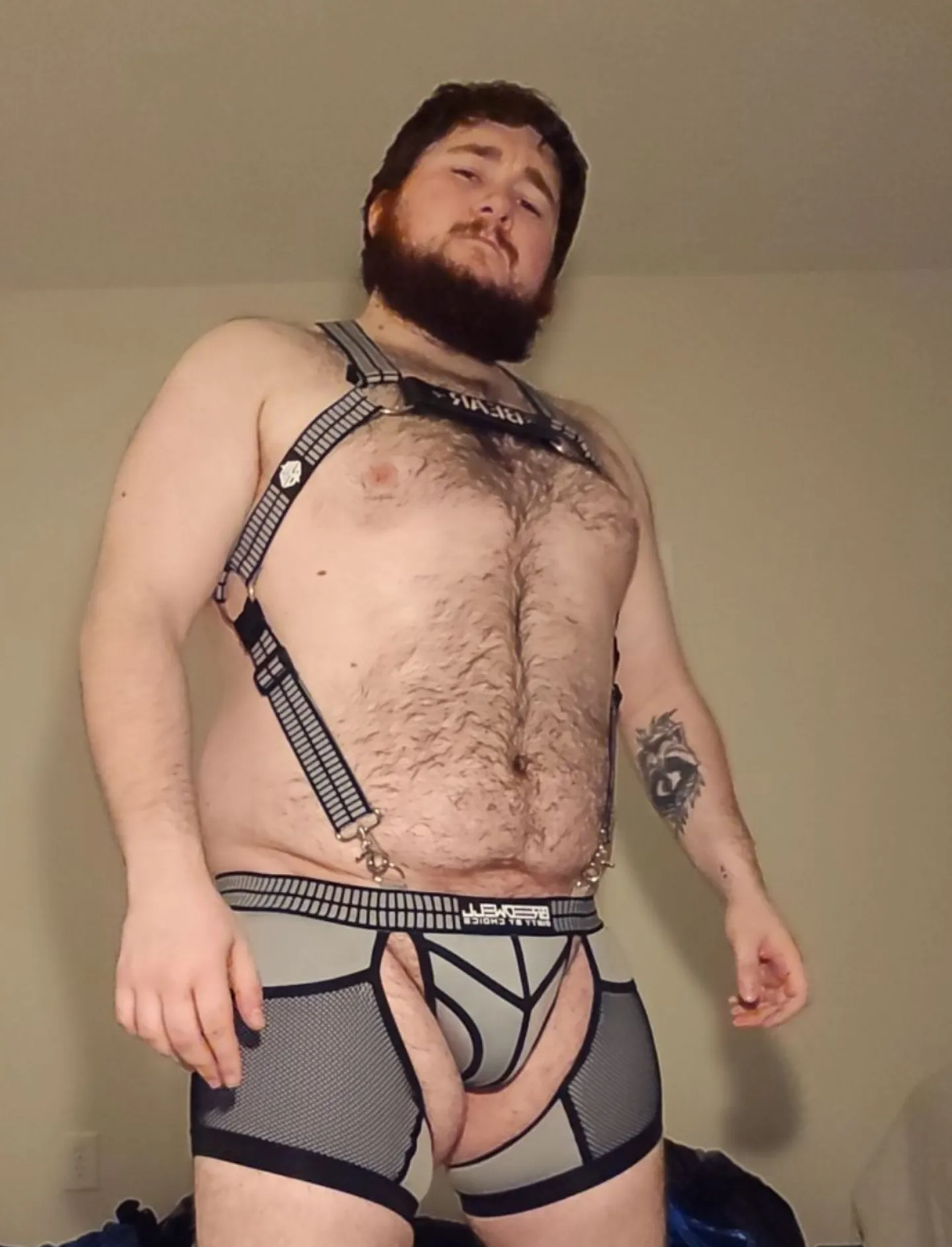 23m Bear, Anyone tryna play league? (NA)