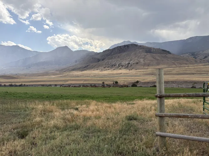 49 M4F Livingston, Gardiner, Emigrant - Let's meet up for a drink :)