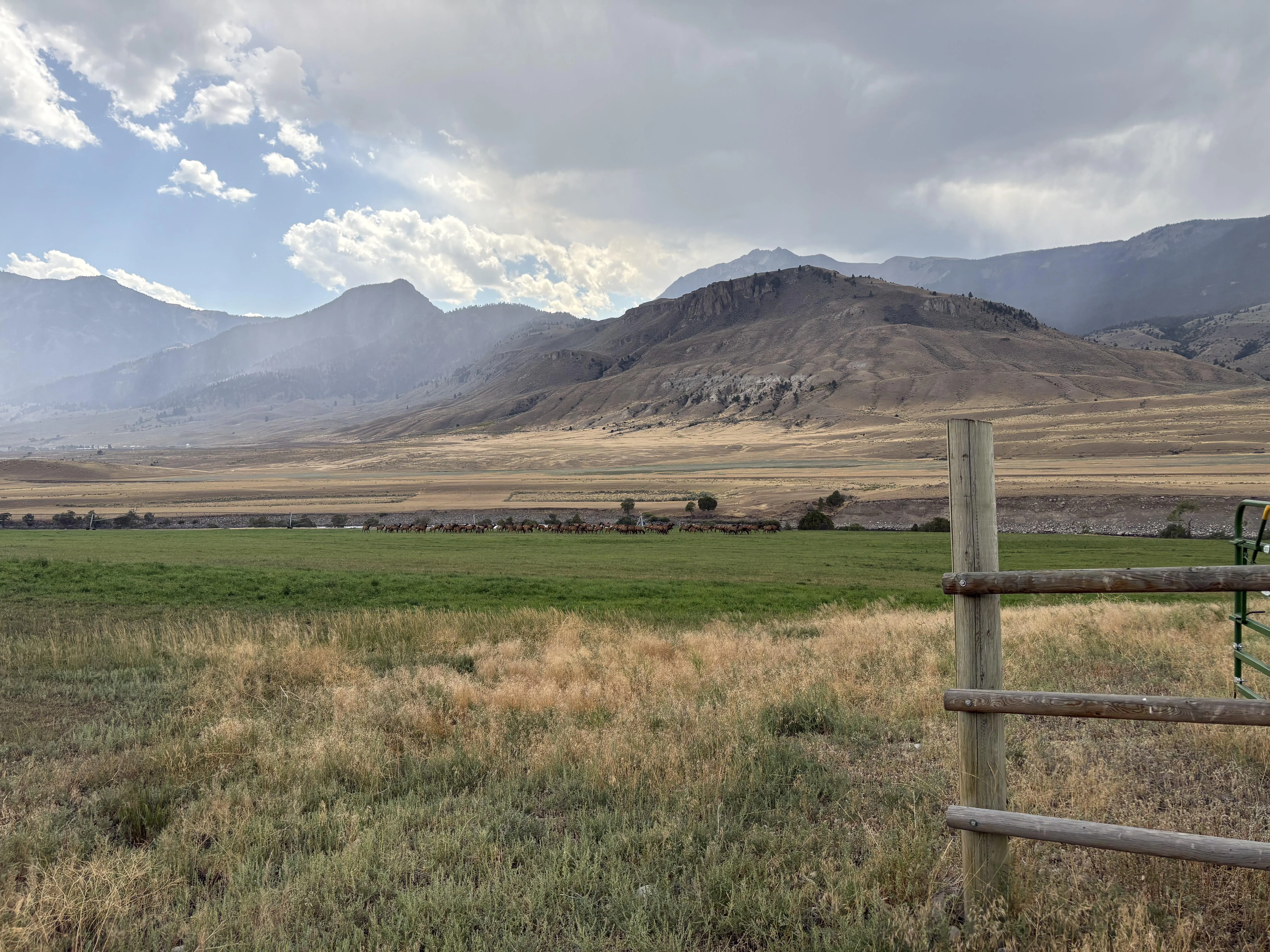 49 M4F Livingston, Gardiner, Emigrant - Let's meet up for a drink :)