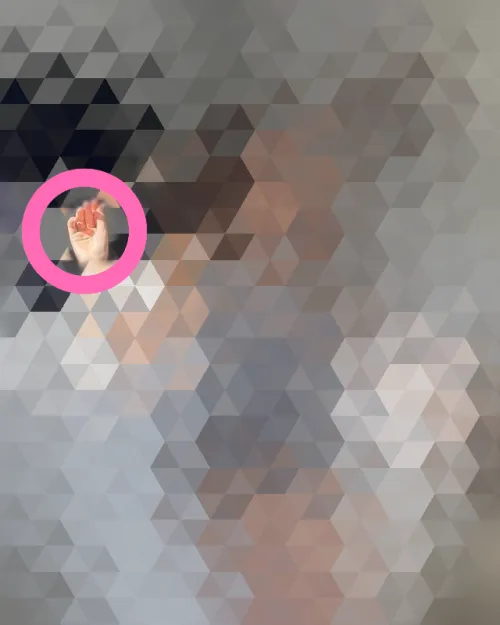 Guess the specific Pokimane pic!