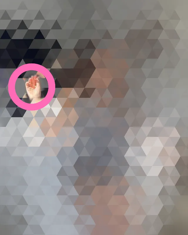 Guess the specific Pokimane pic!