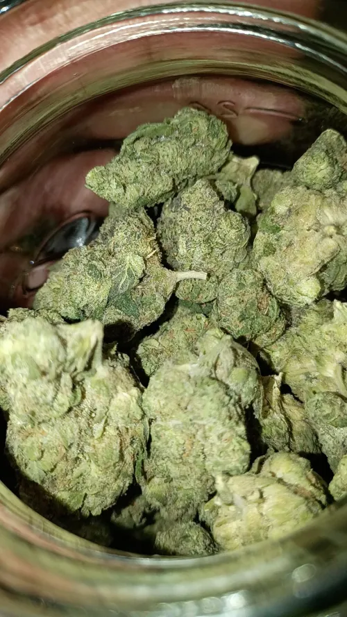 Gush mints dispensary kush