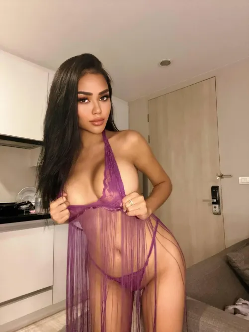 how can I convince you to breed my Thai pussy?