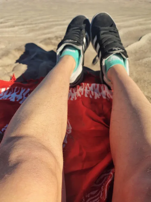 I took them for a walk on the beach, spring is coming here