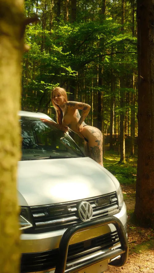 Let‘s go camping together