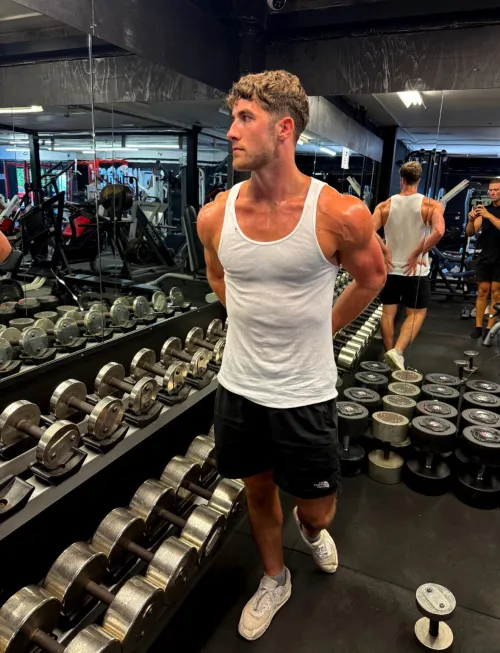 Looking for a real sub to own dm me