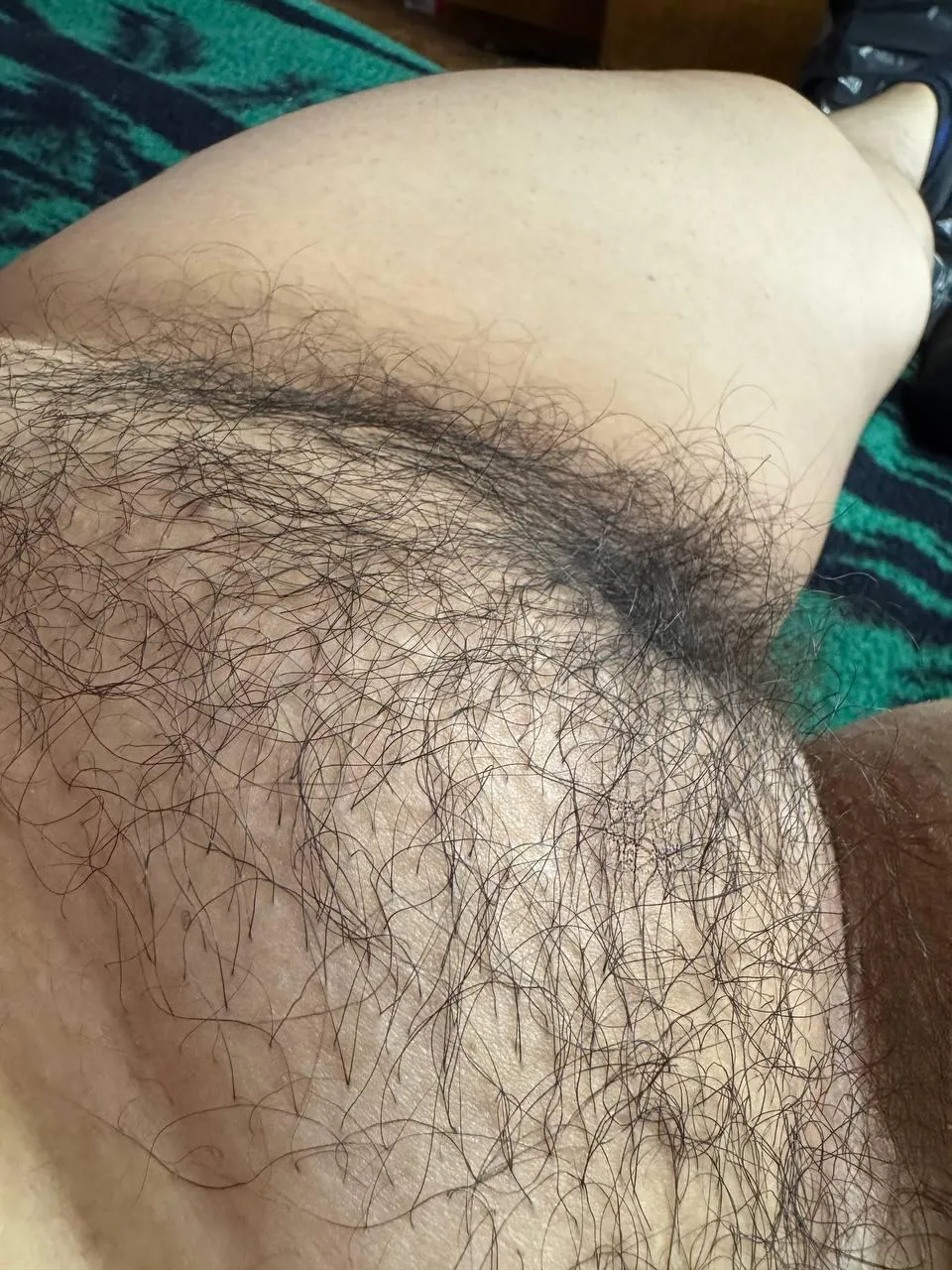 My natural hairy pussy, no shaving