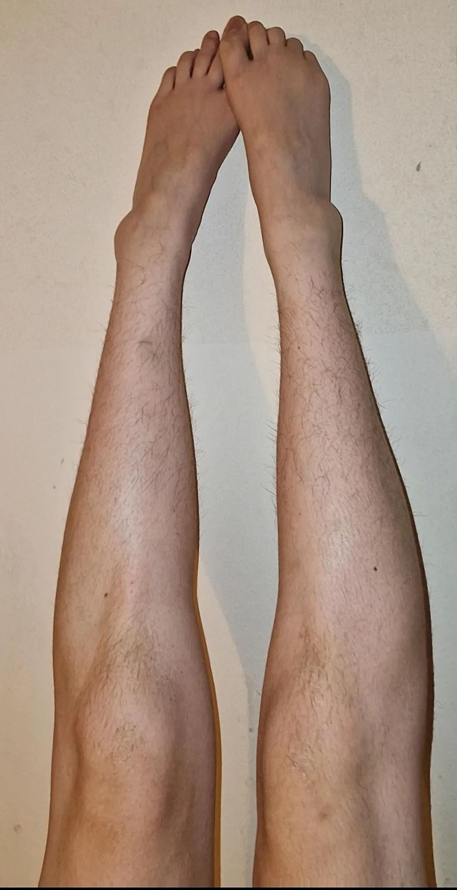 ✨️she was a fairy✨️