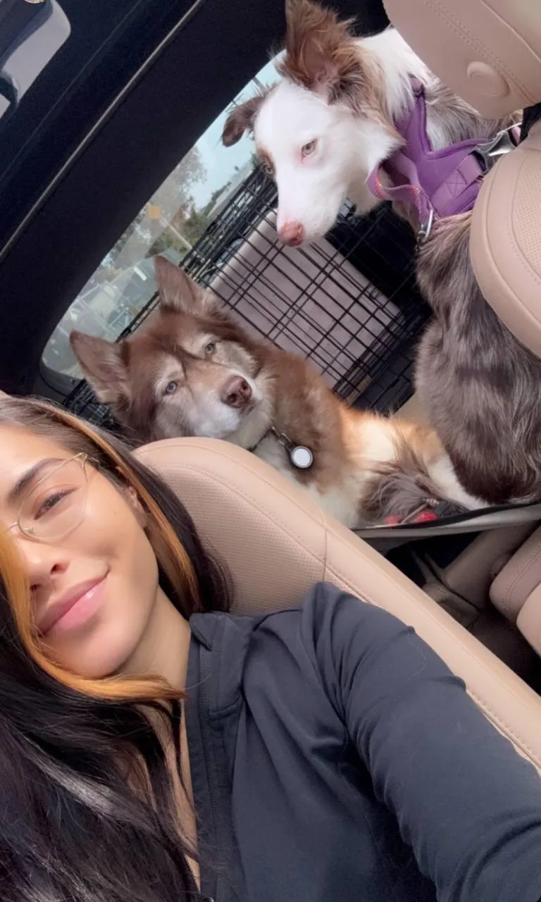 you intoo beingg cageed and cuccked by a woman? whats ur darkestt fanttasy