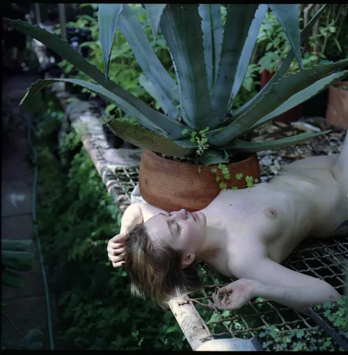 Mamiya c330 kodak portra 400