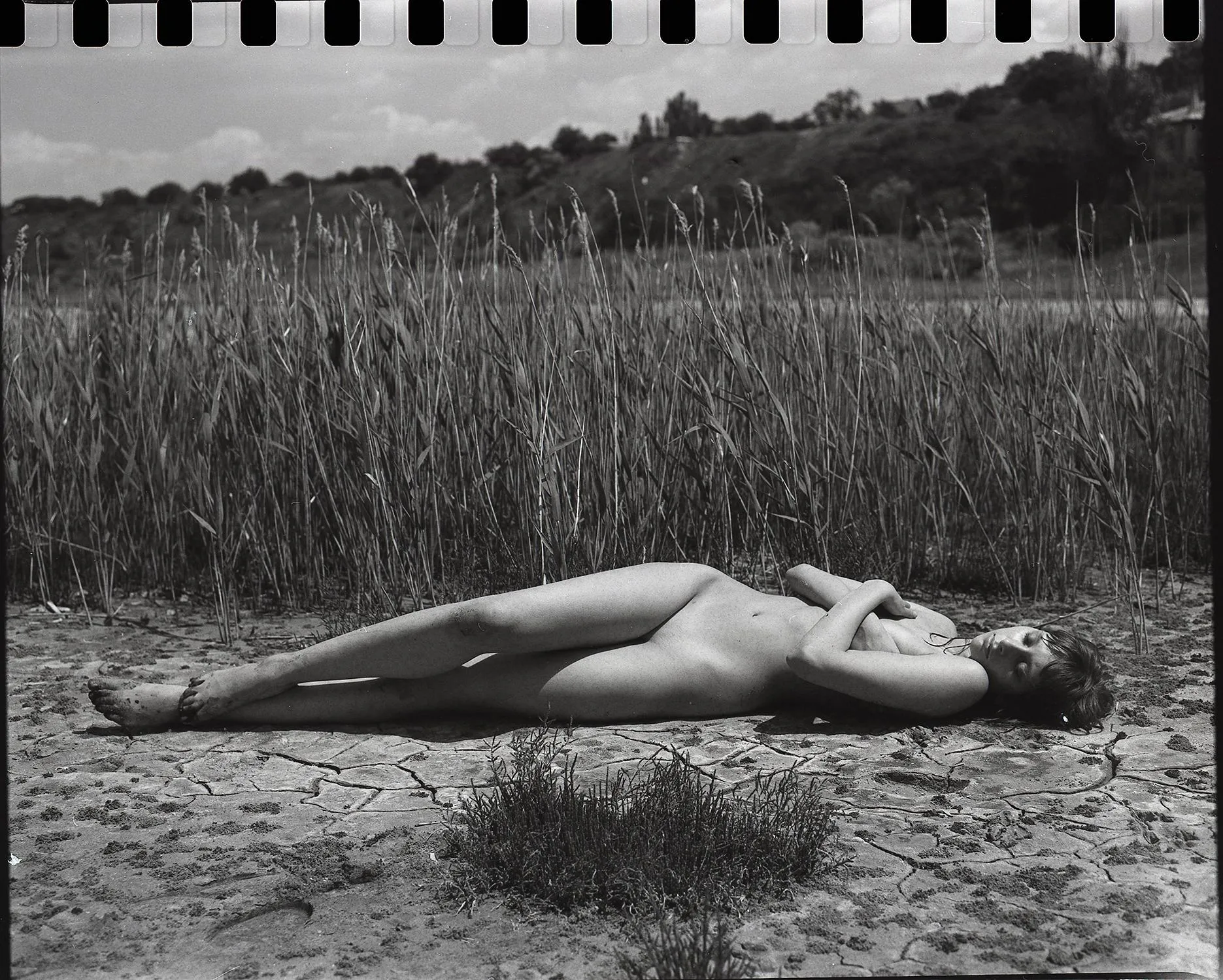 Mamiya rb67 agfa aviphot