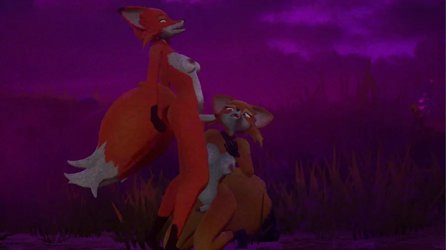 Foxes know how to have fun. 😏 (Sapphire Safari)