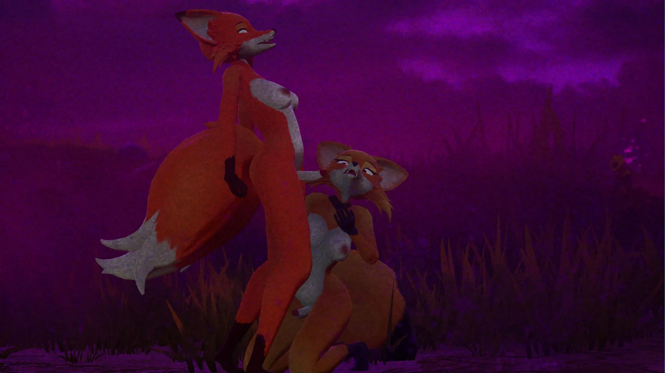 Foxes know how to have fun. 😏 (Sapphire Safari)