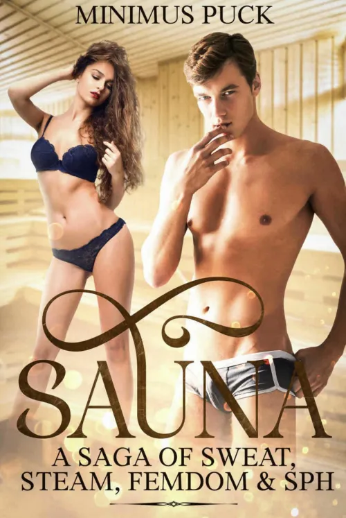 Collection of sauna erotica stories