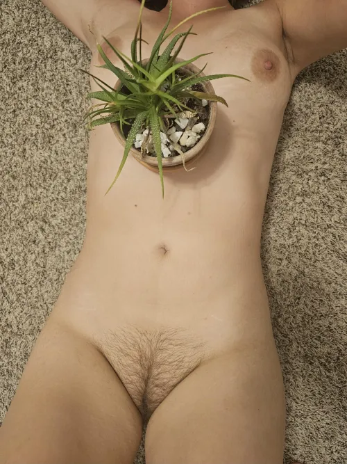 Presentation is important 🪴