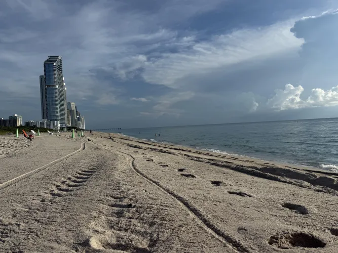 Clouds just passed. Couldn’t ask for a nicer day.