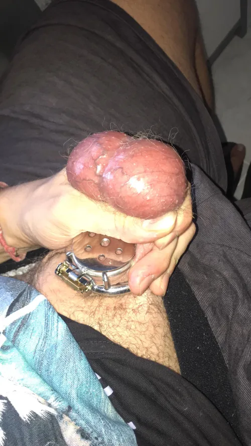 cbt castration ballbusting sph