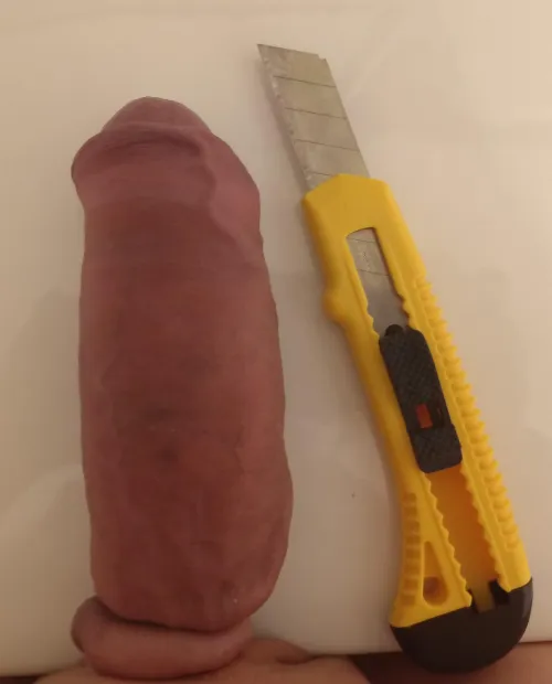 Who wants to cut it?~