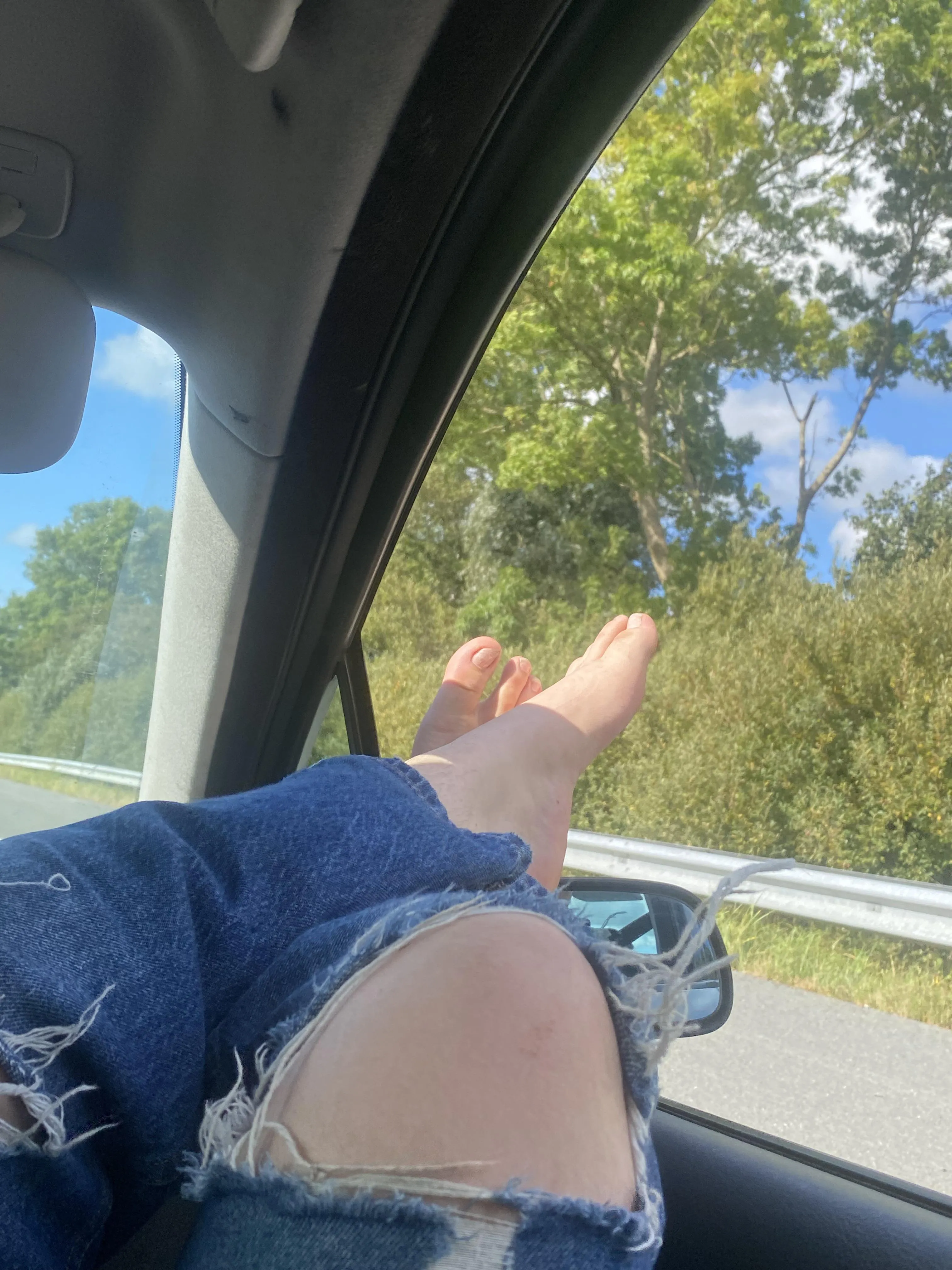 Can i be your passenger princess?