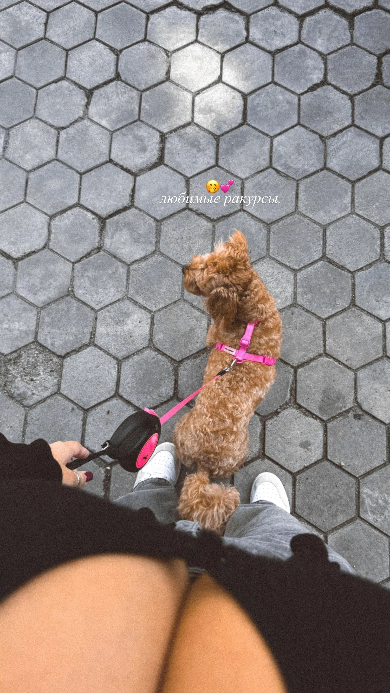 The view | IG Story August 25