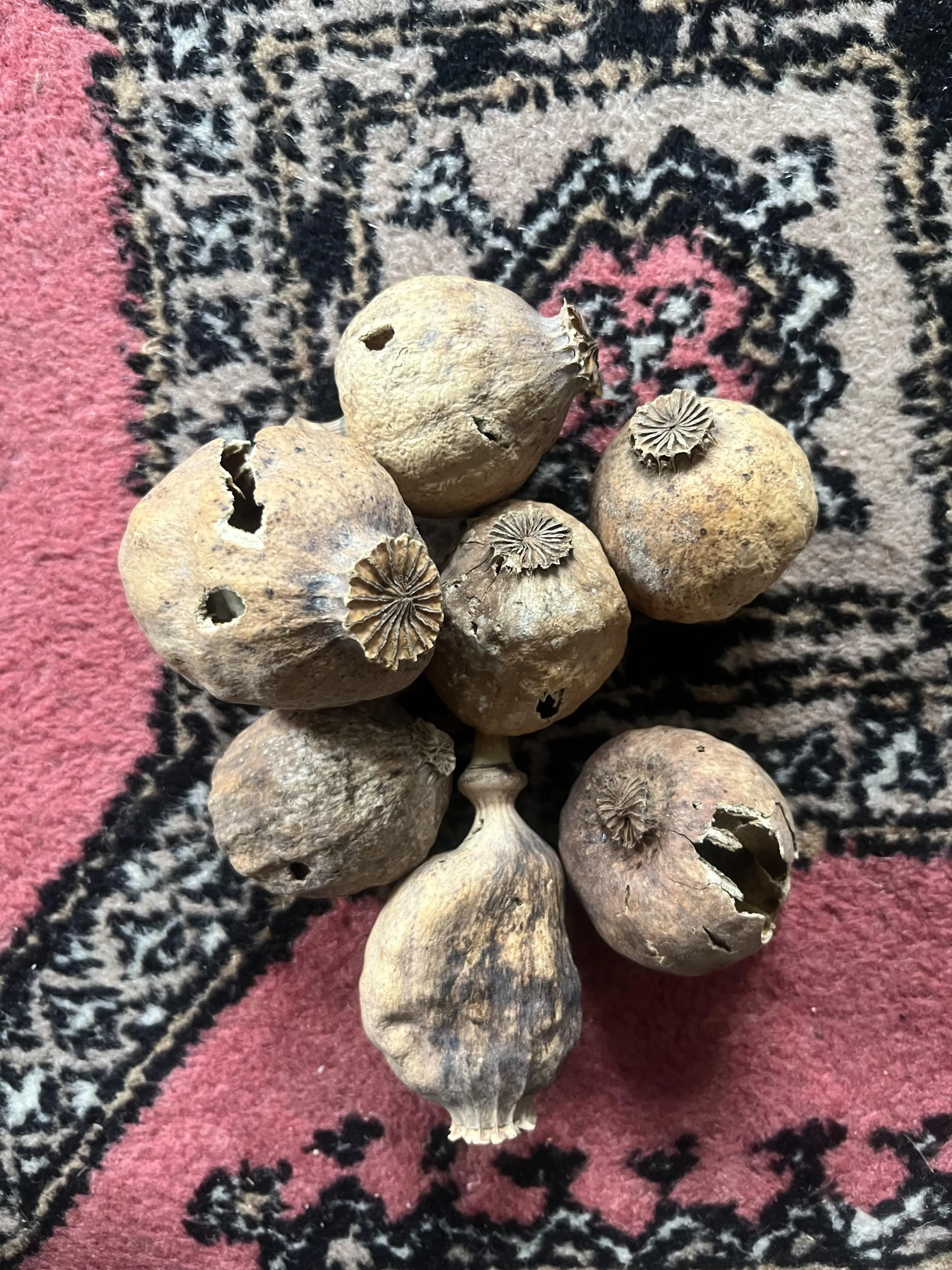 A question as old as time. Are these the right ones?