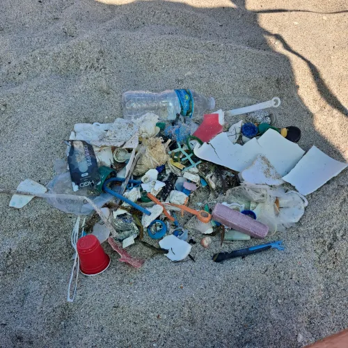 Beach Clean-up