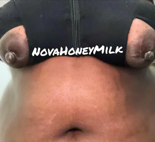 Teats Banded before Milking Session