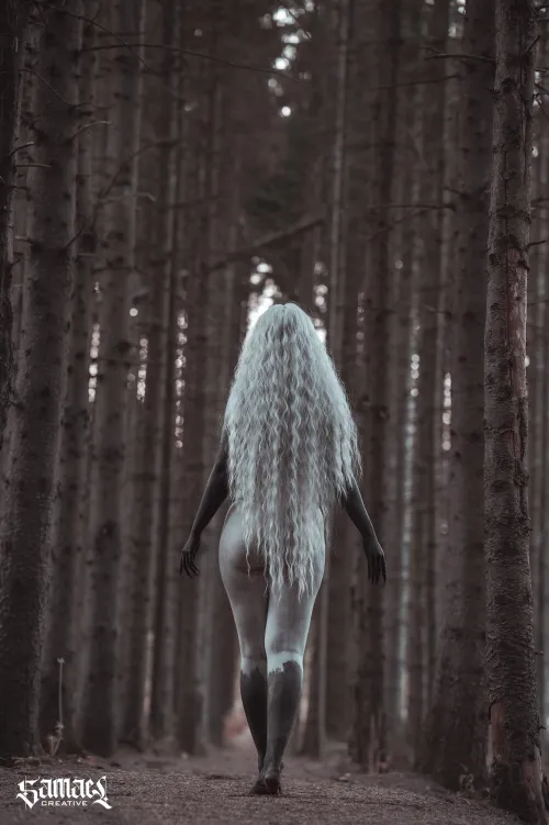 Walking throught the woods