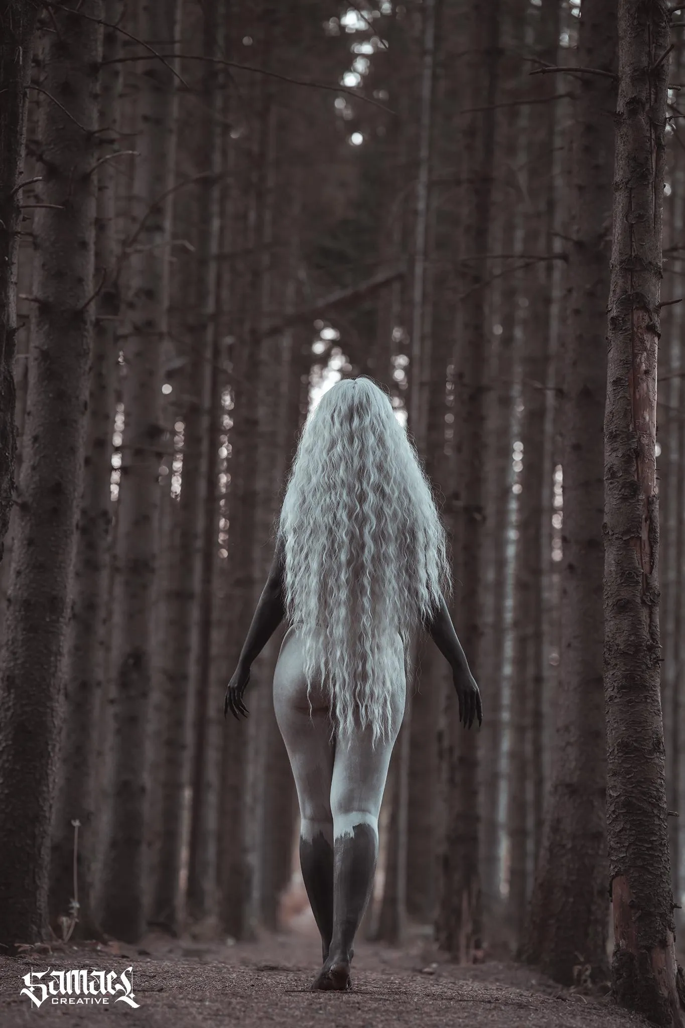 Walking throught the woods