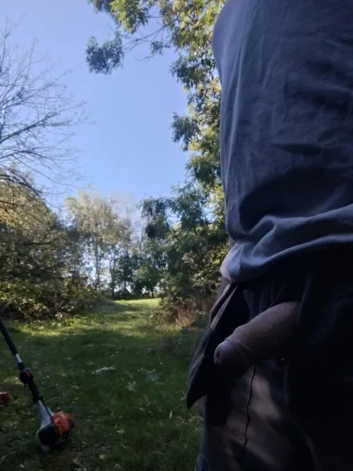 Hedge cutting in the park this morning.