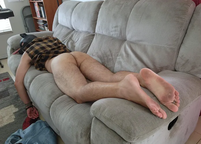 Zonked out Pup on the couch. Too many edibles and he's out like a light for at least the next 6 hours