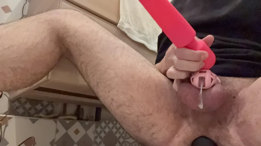 Came in the cage for the first time