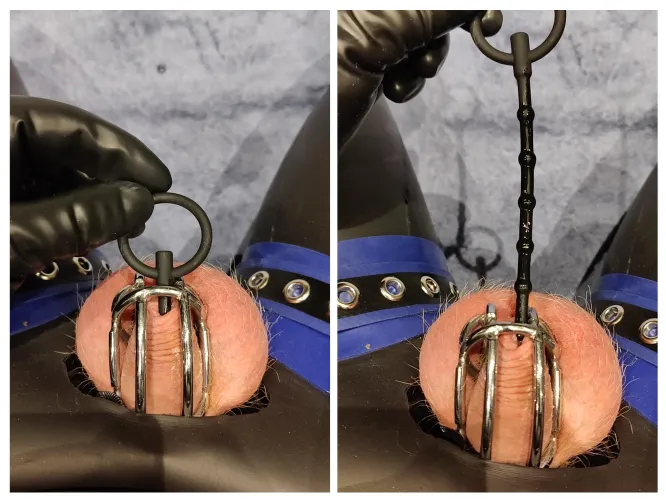 First time sounding while caged