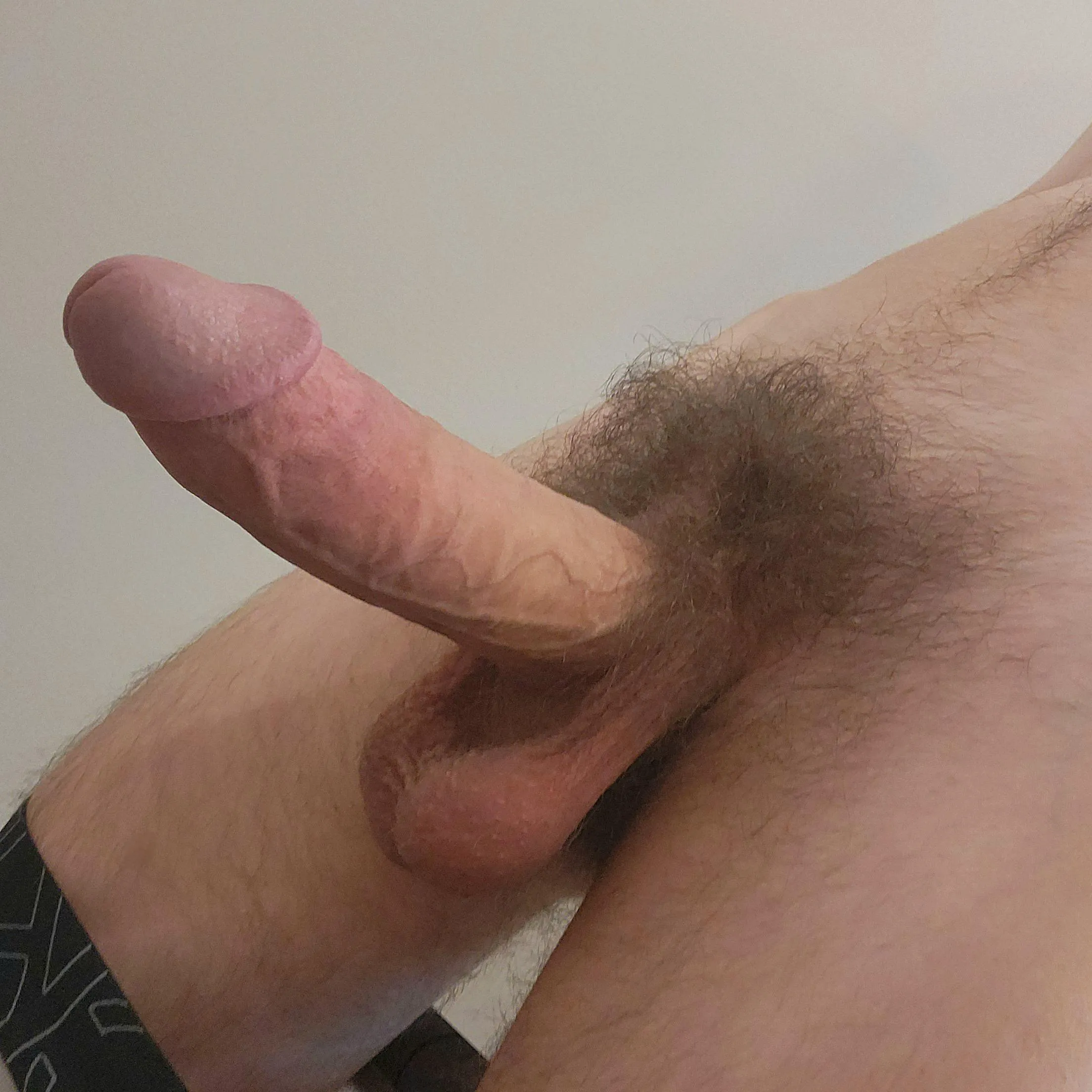 [19] I think untrimmed is the only way to go