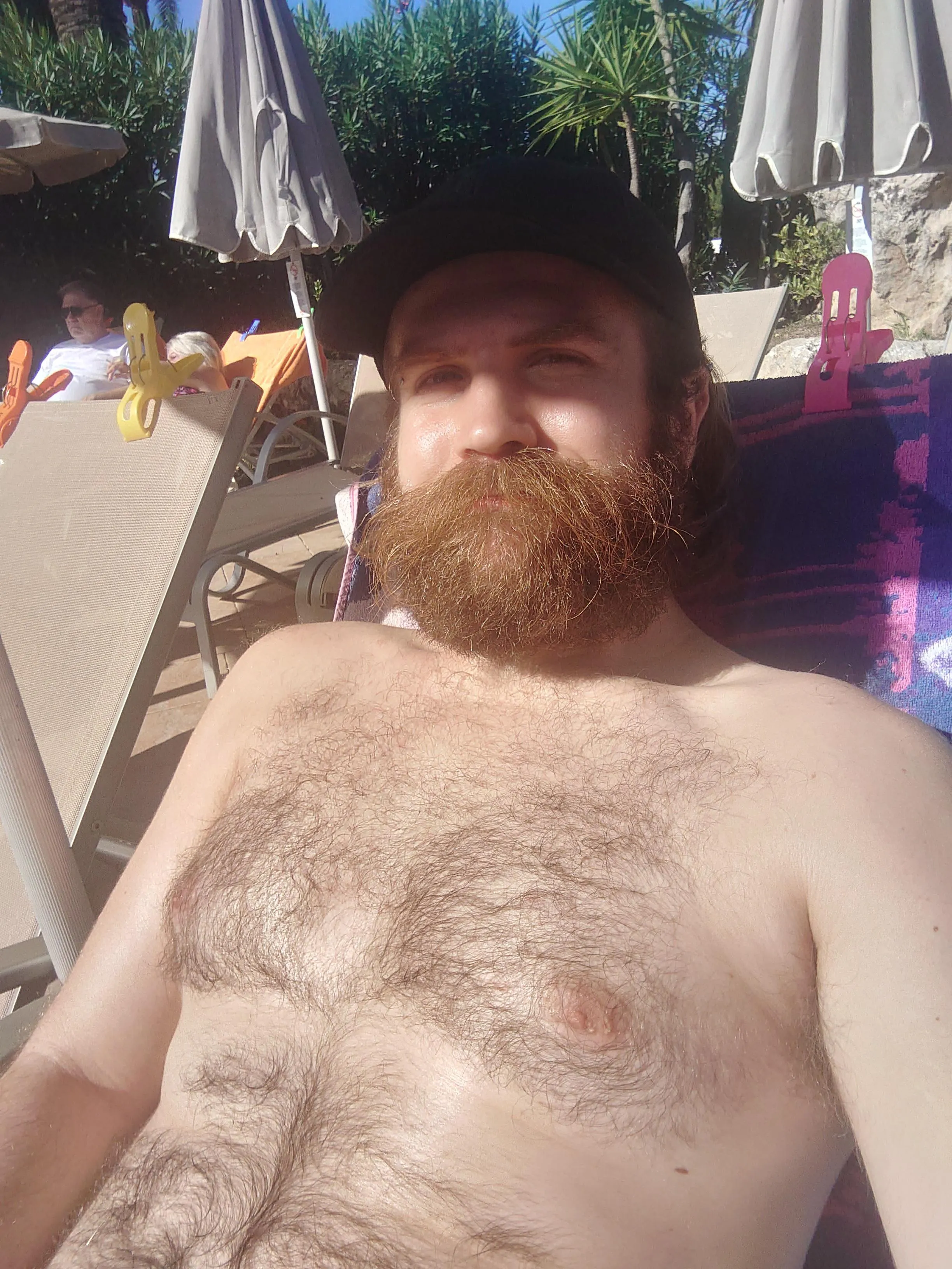 Beach Bear 🏖️🐻