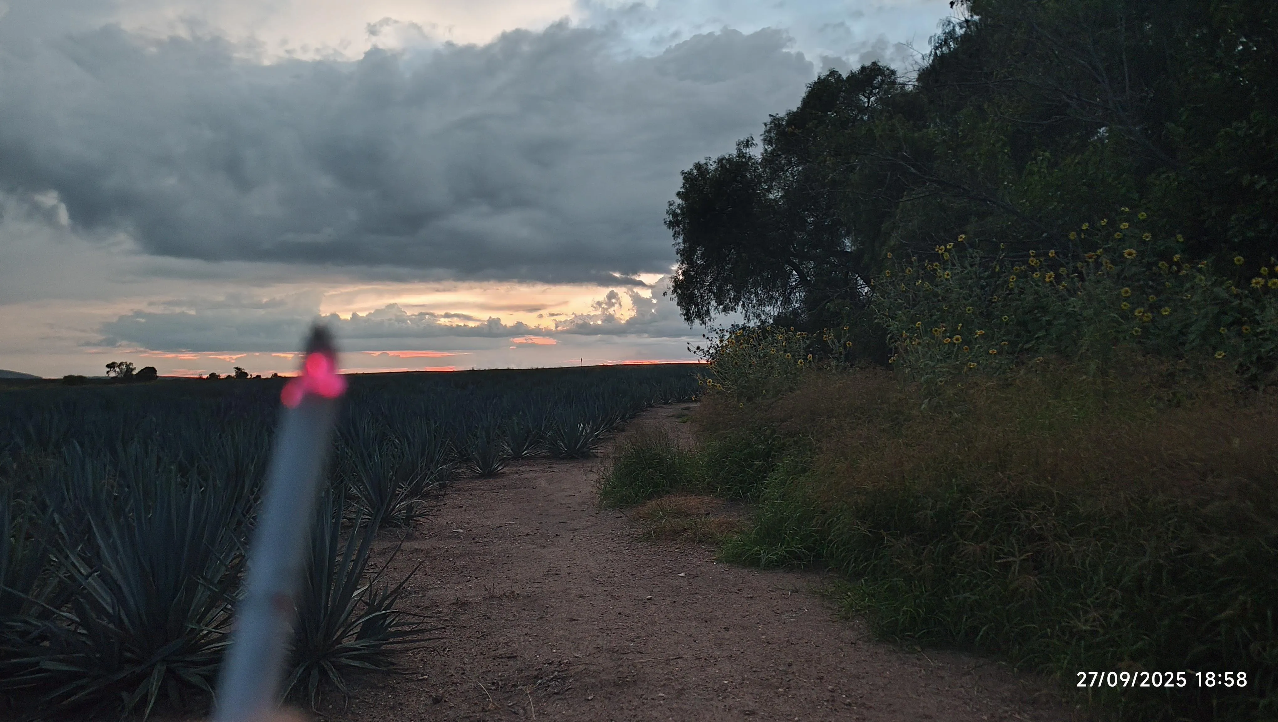 Go for a walk sometimes, it's basically bonus years to keep smoking hahaha
