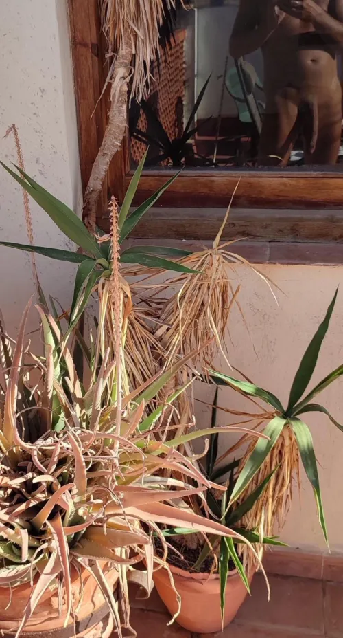 Great day. Weather is getting better and closer to summer 😎