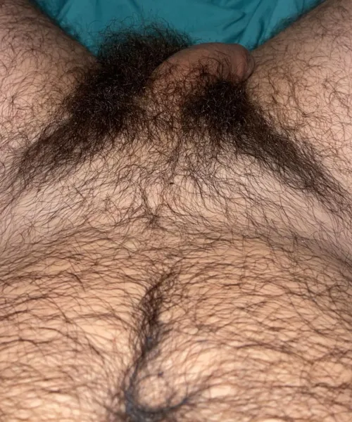 Hairier the better, you agree?